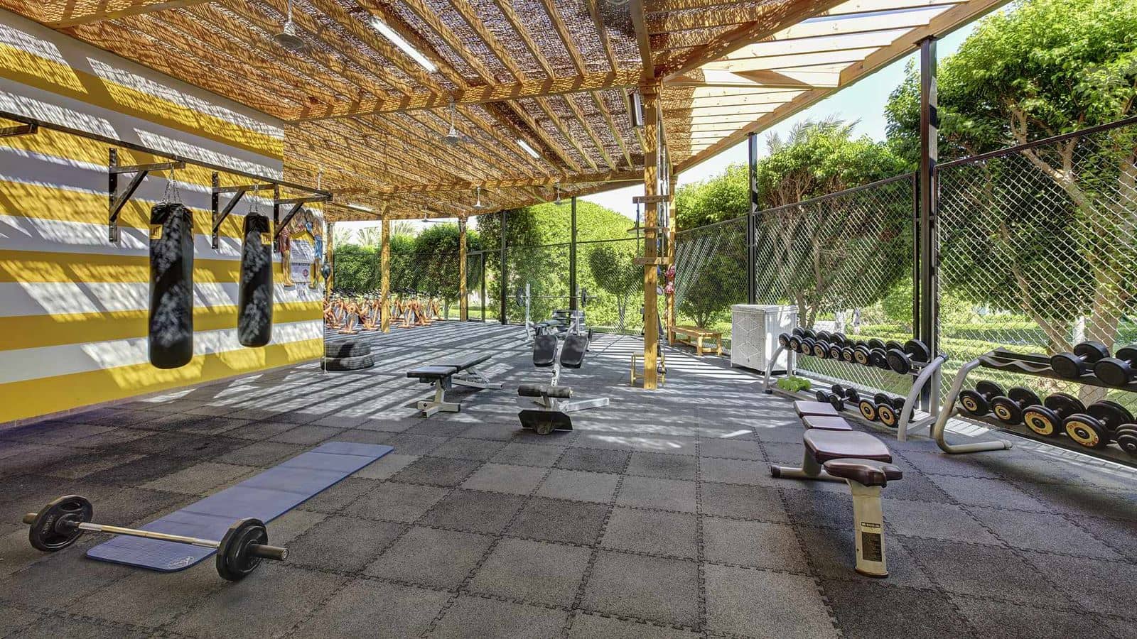 sport-sport