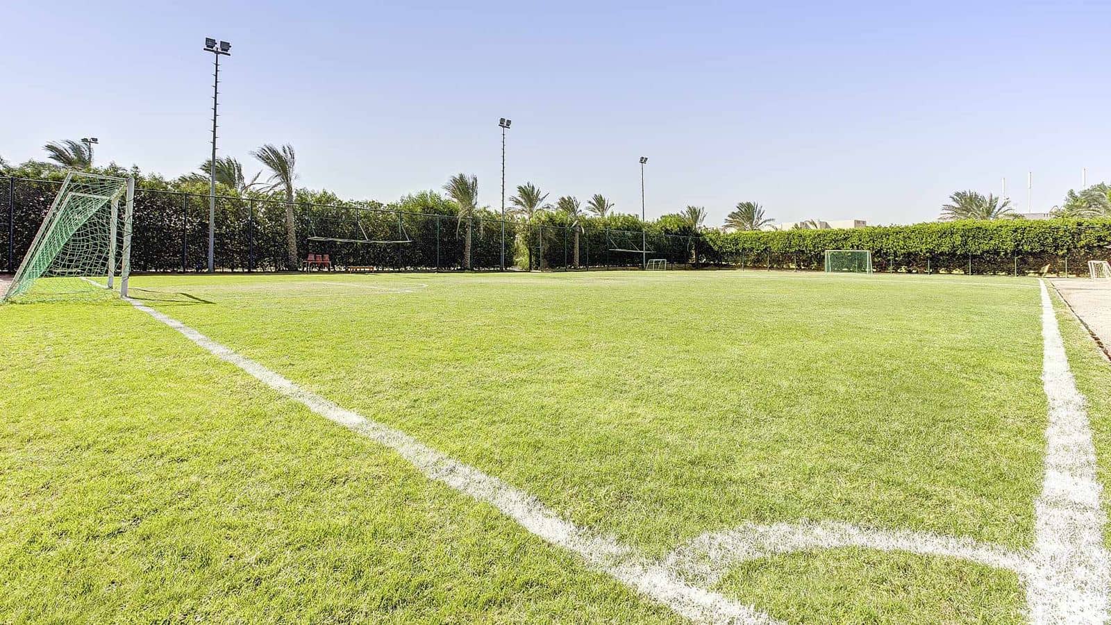 sport-sport
