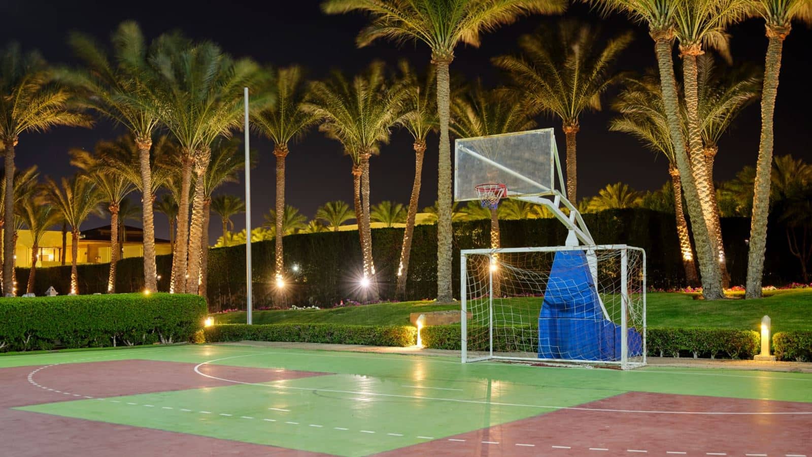 sport-sport