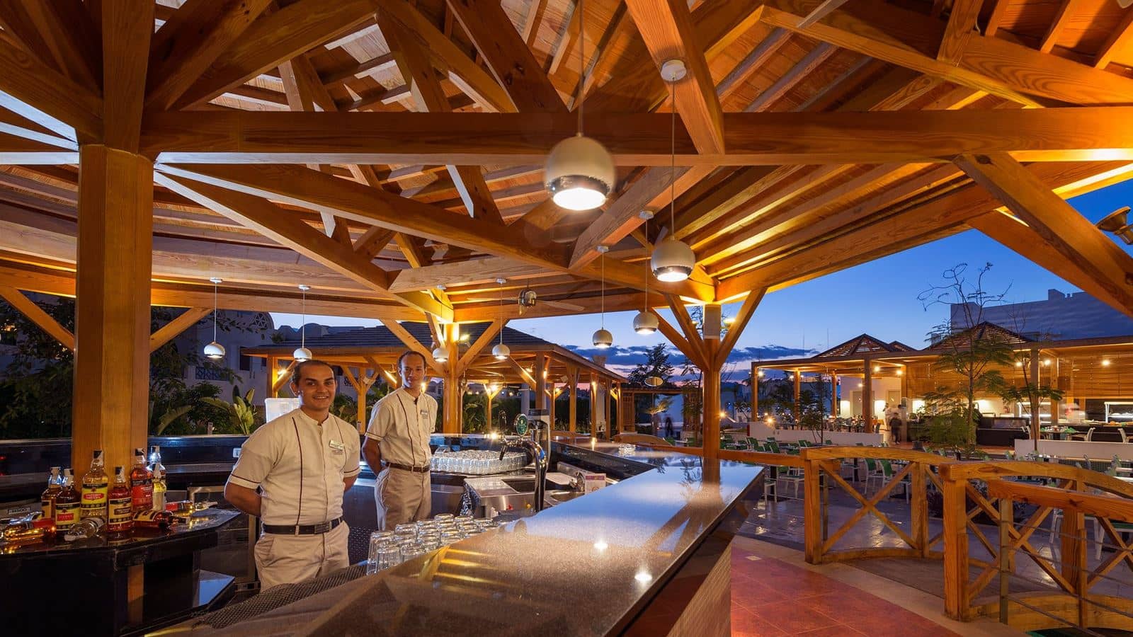 bars-cactus-bar