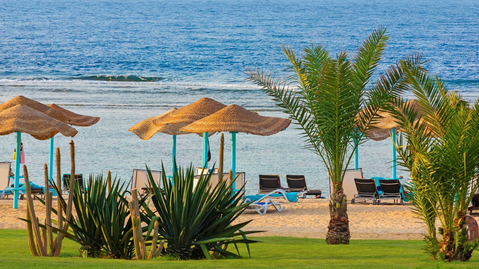 beach-other