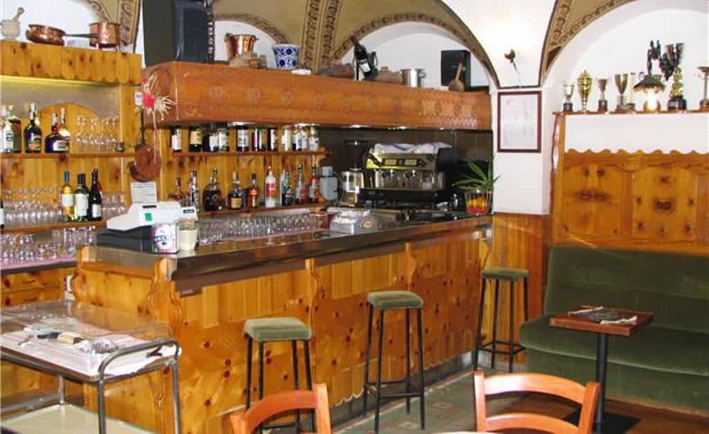bars-gufo