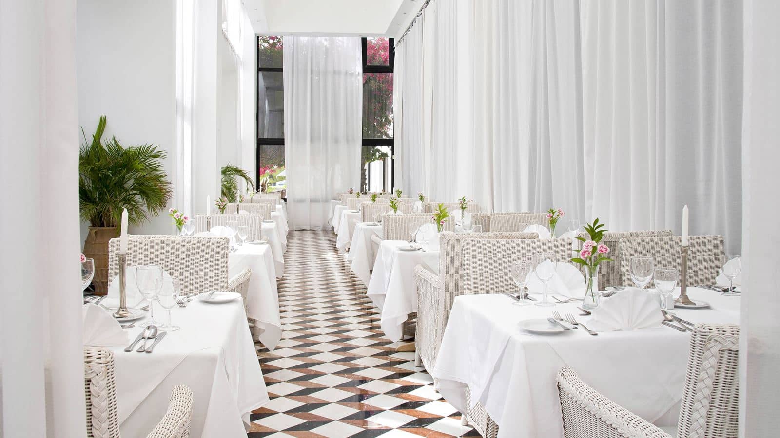 restaurants-cipro