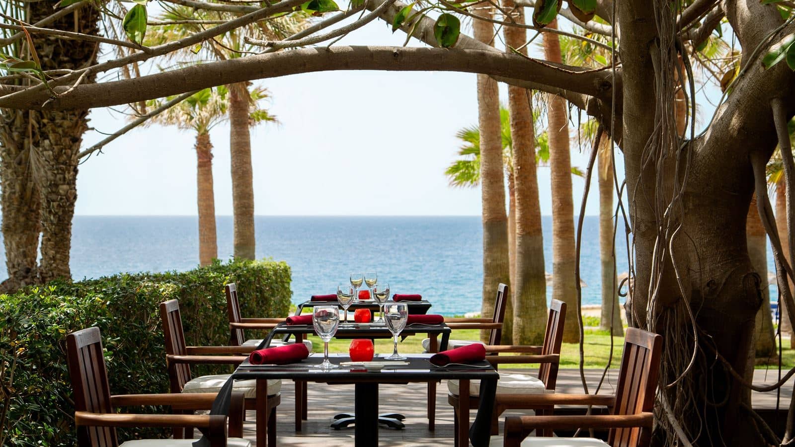 restaurants-oku