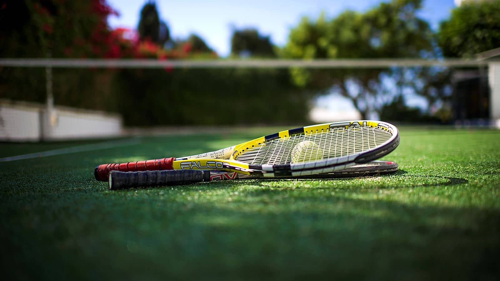 sport-sport
