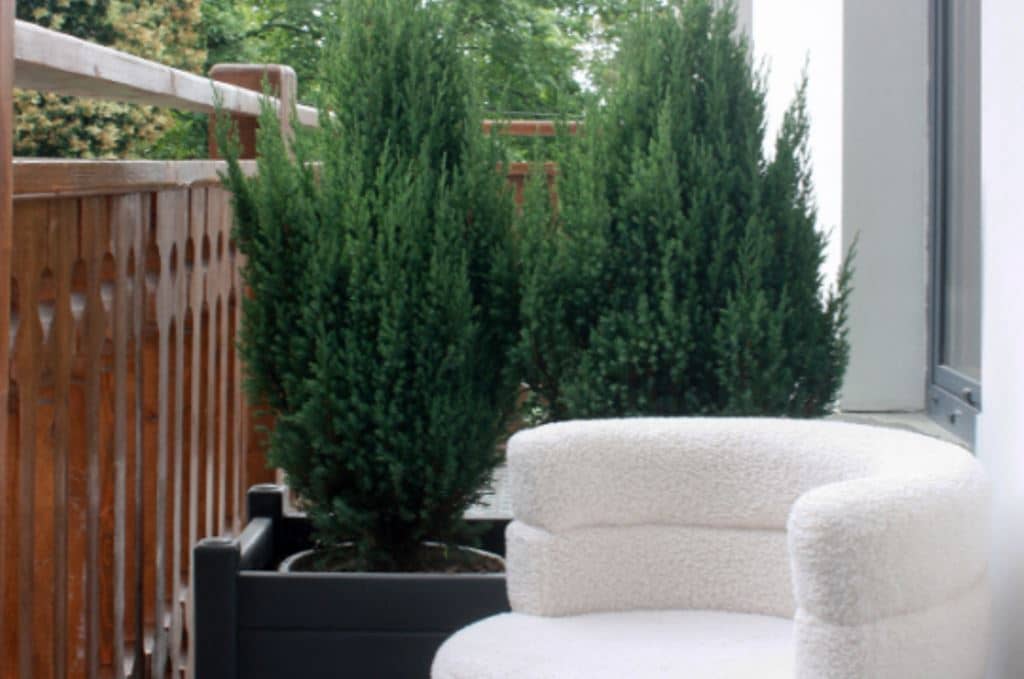 rooms-superior-double-room