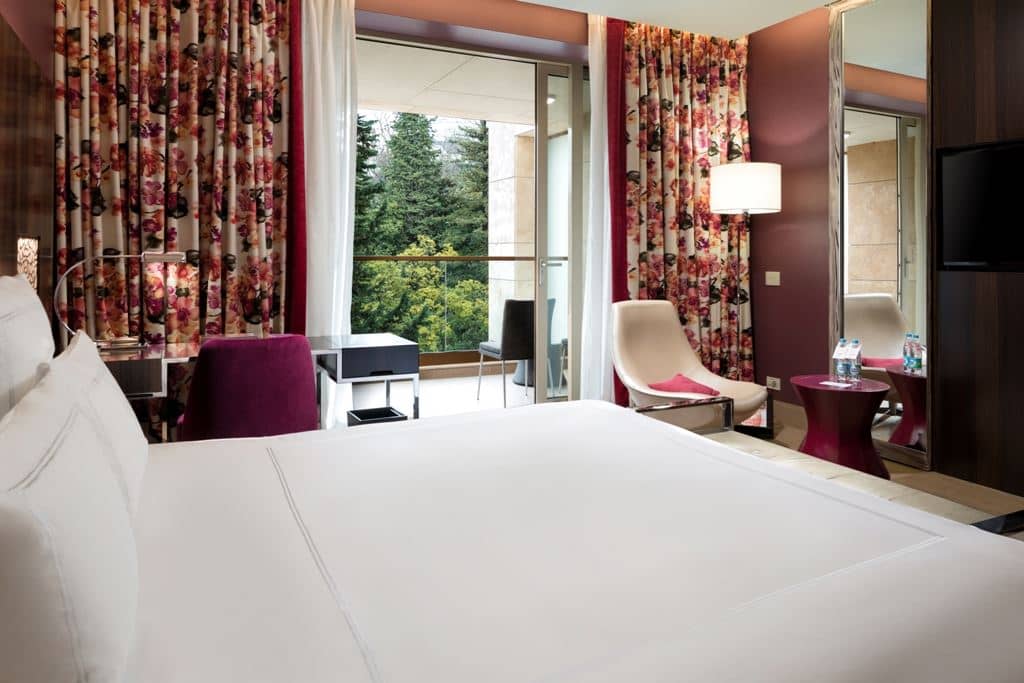 rooms-standart-king-park-view