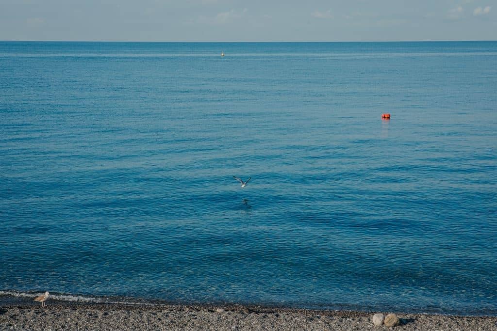 beach-beach