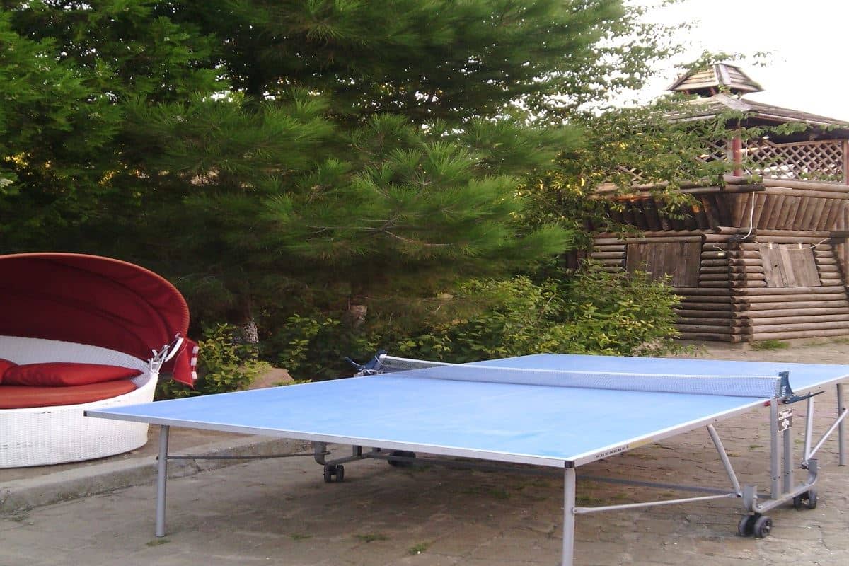 sport-sport