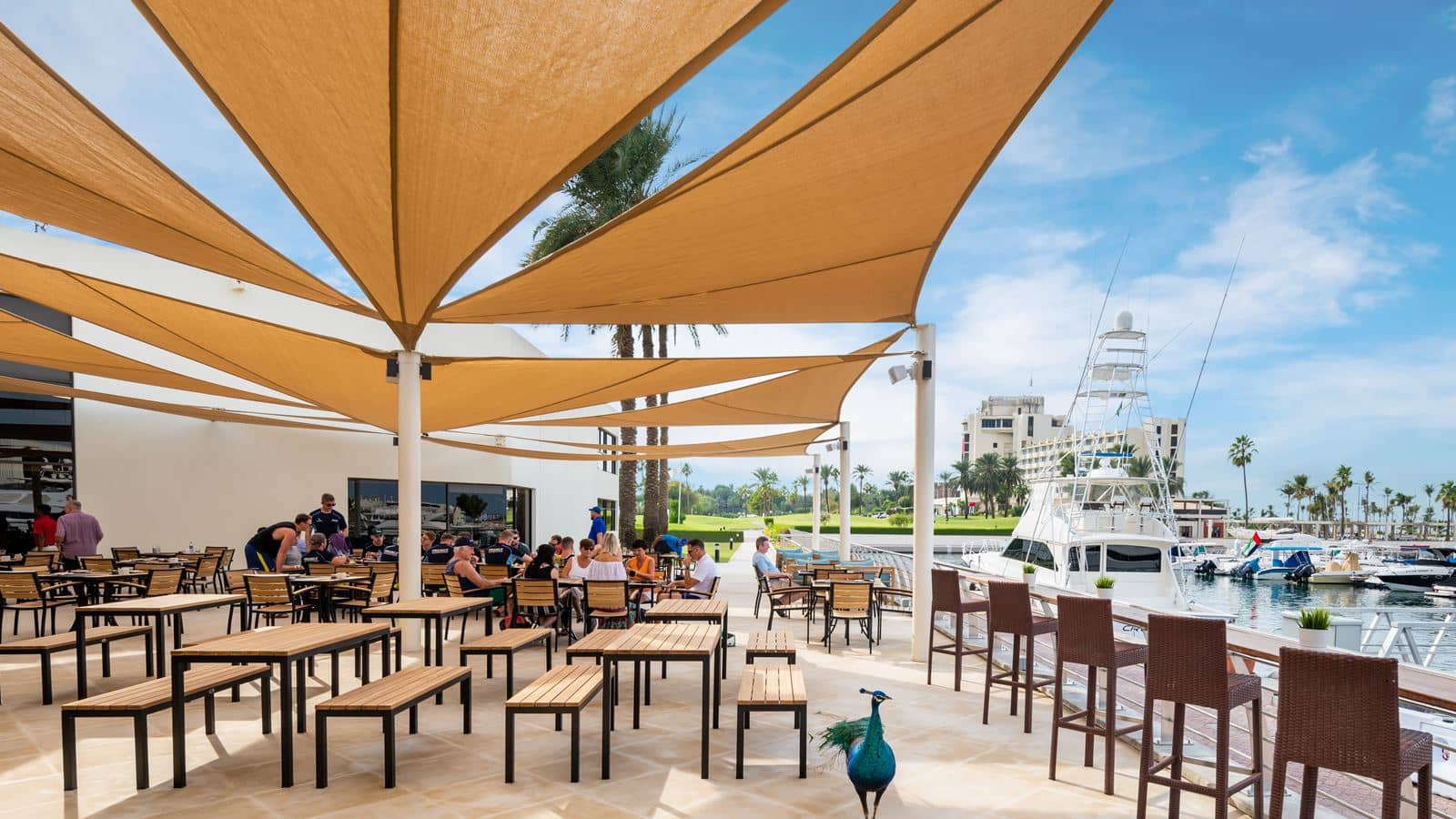 bars-sports-cafe