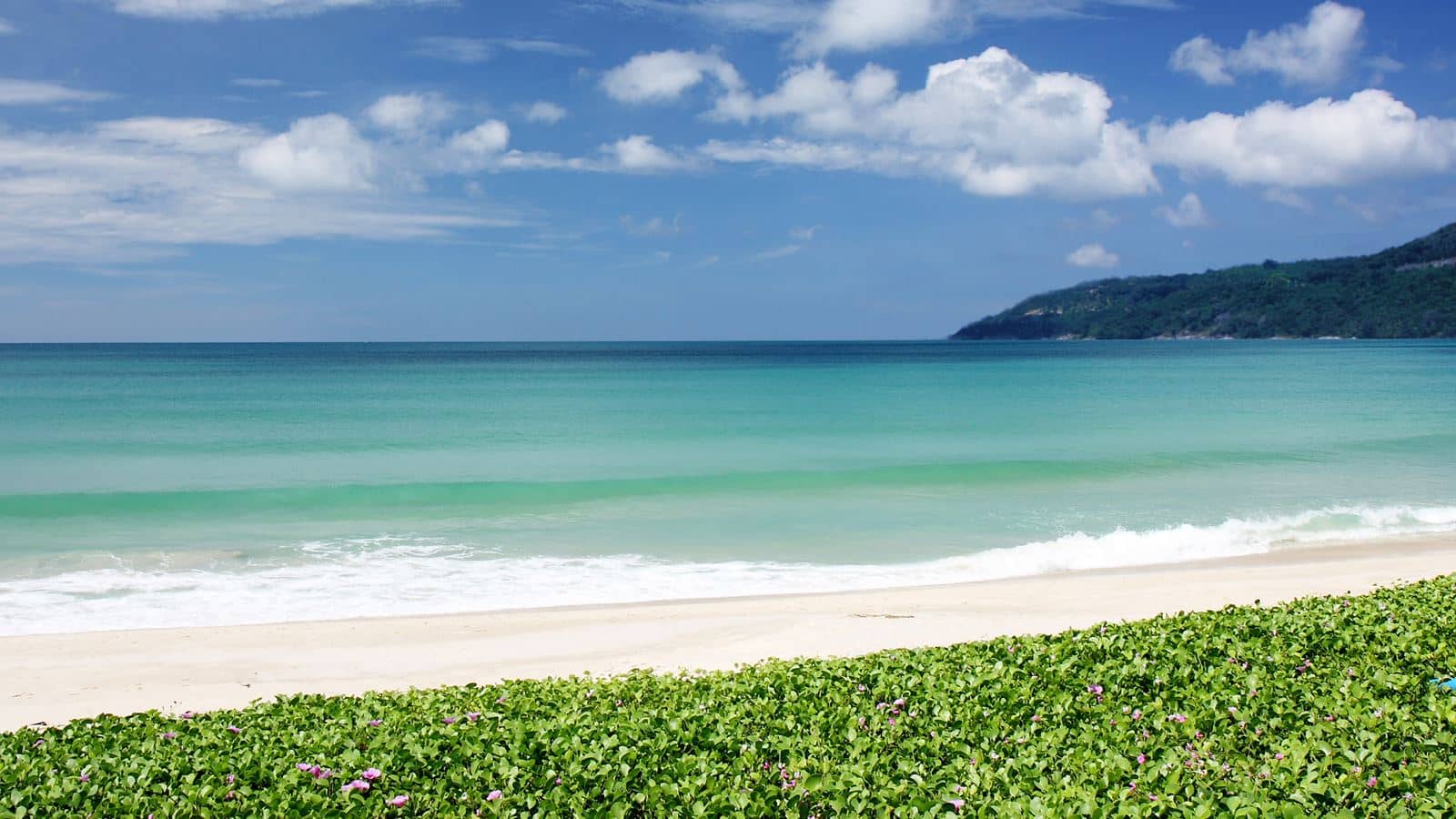 beach-beach