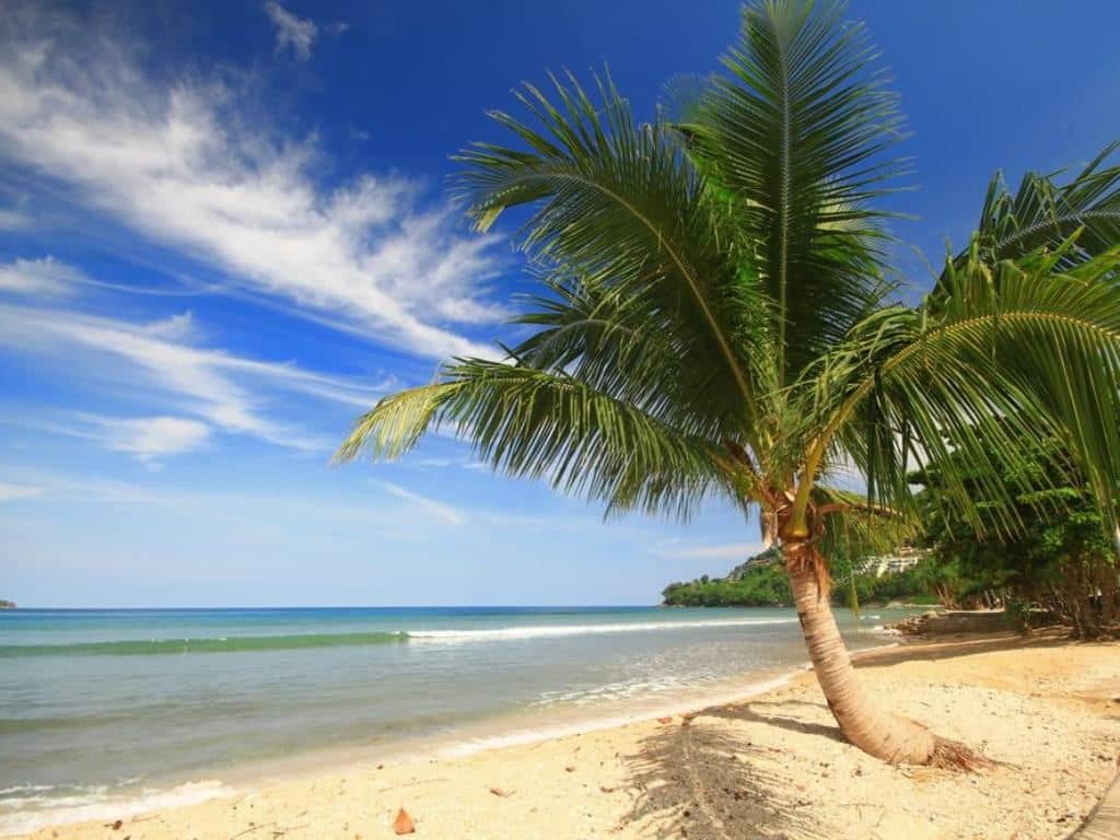 beach-beach