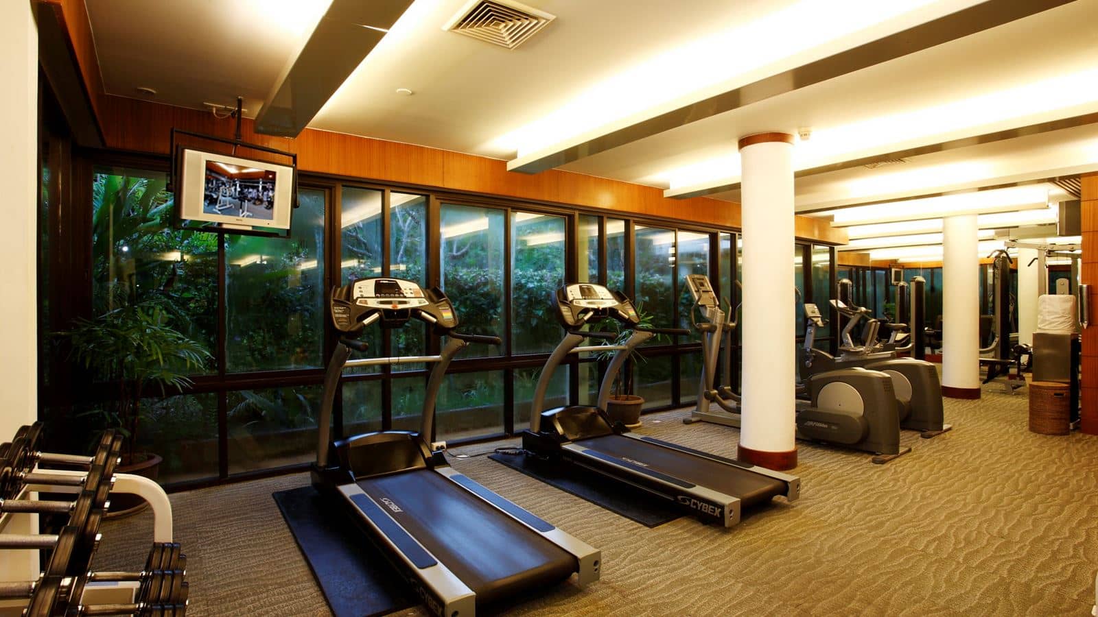 sport-sport