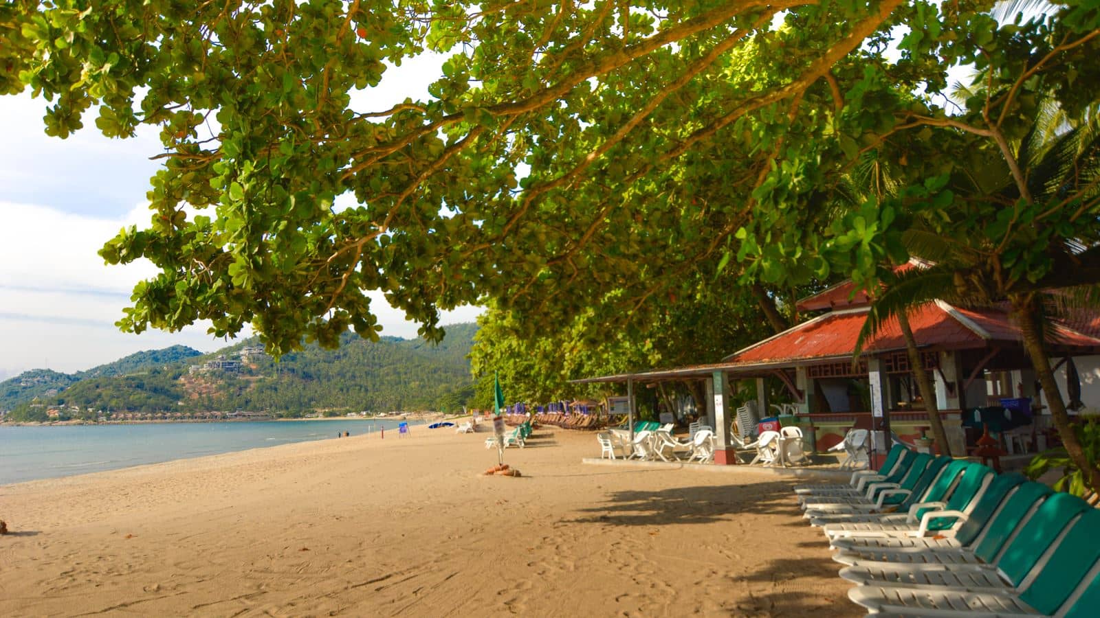 beach-beach