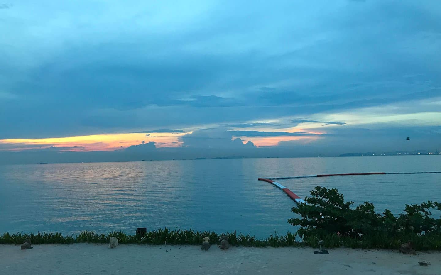 beach-beach