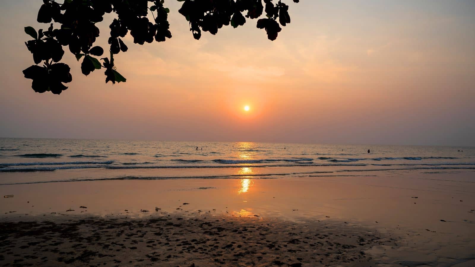 beach-beach