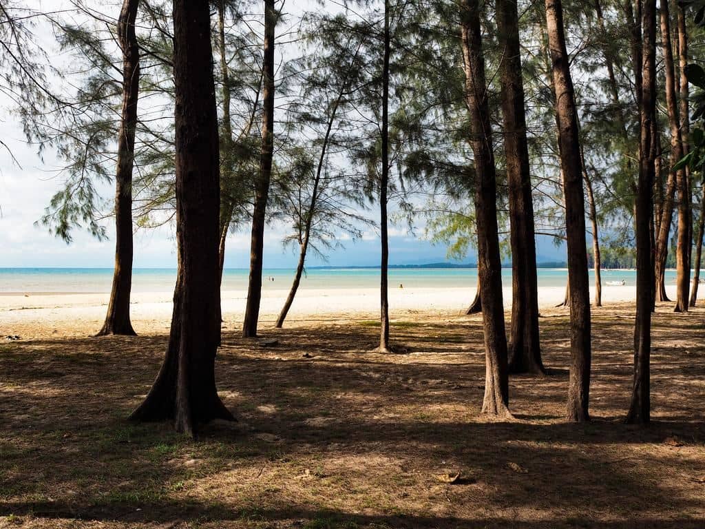 beach-beach