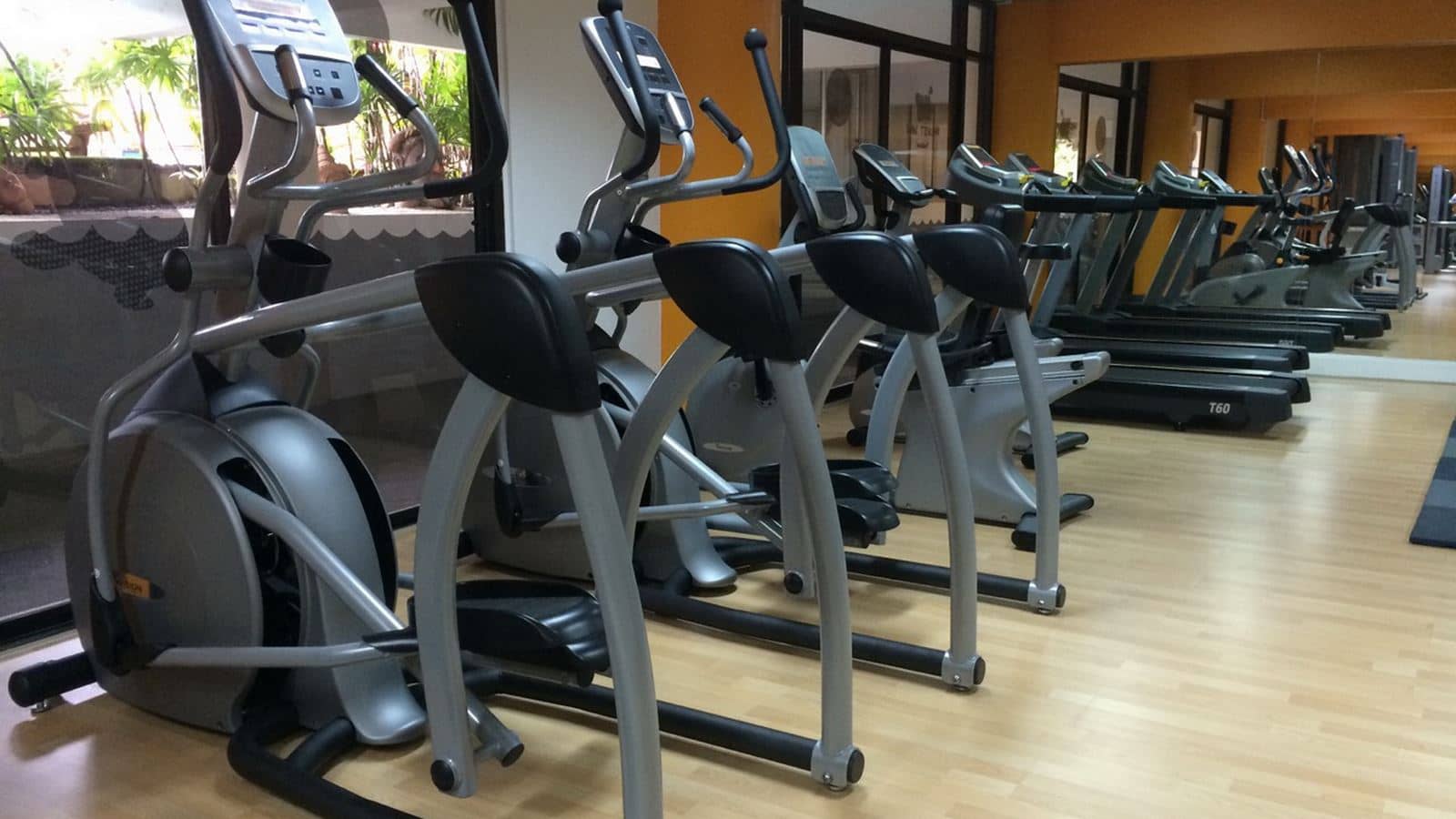 sport-sport