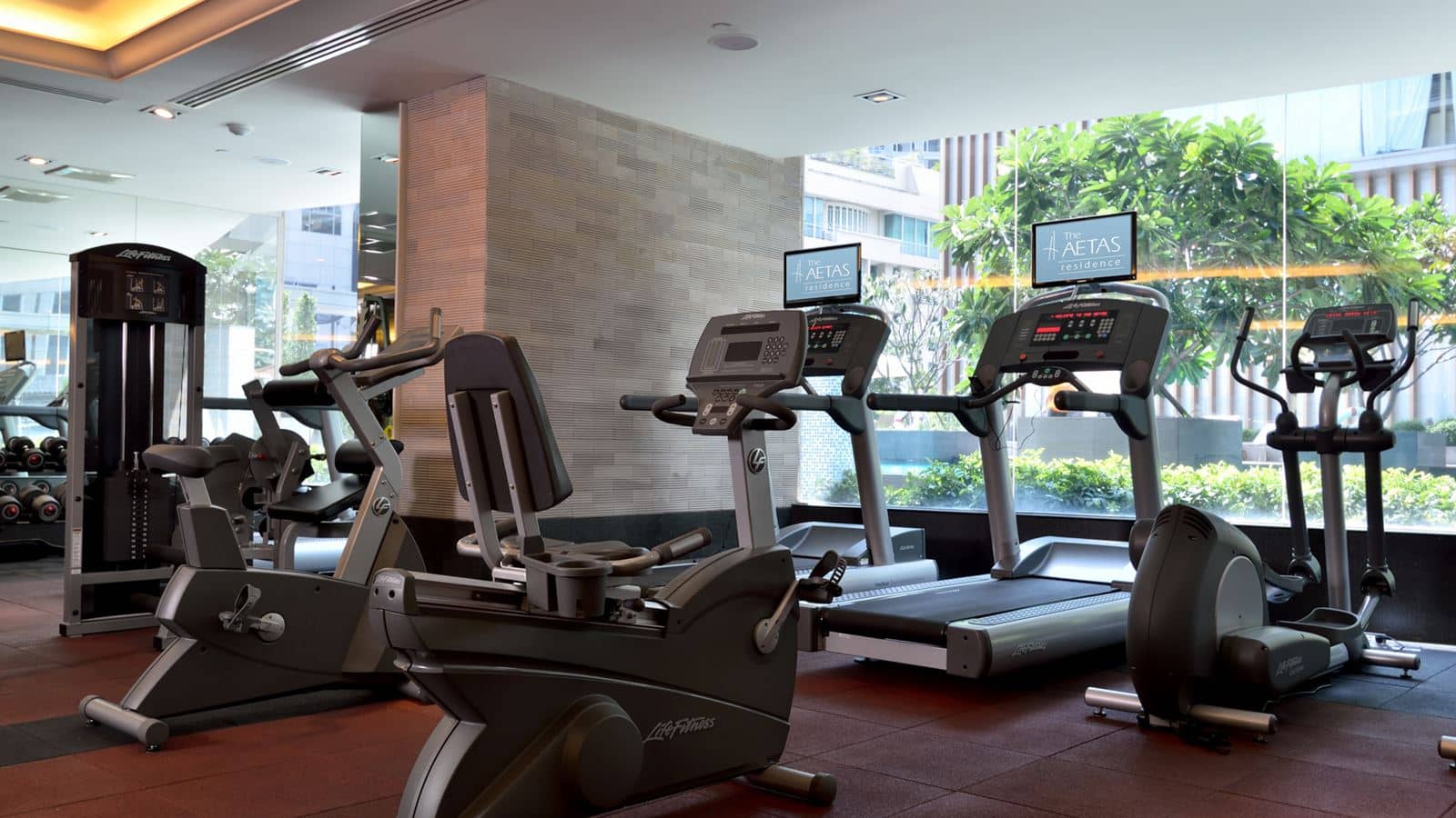 sport-sport