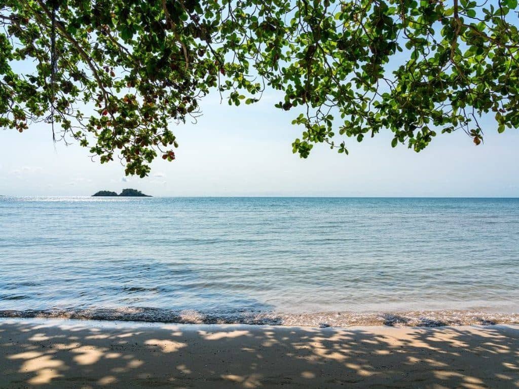 beach-beach