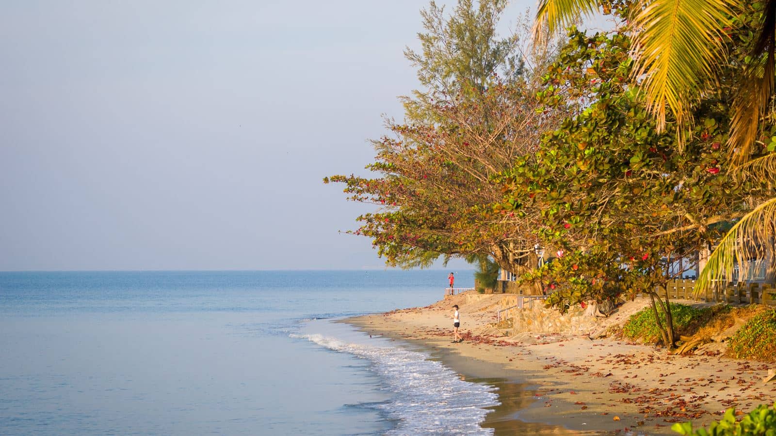 beach-beach