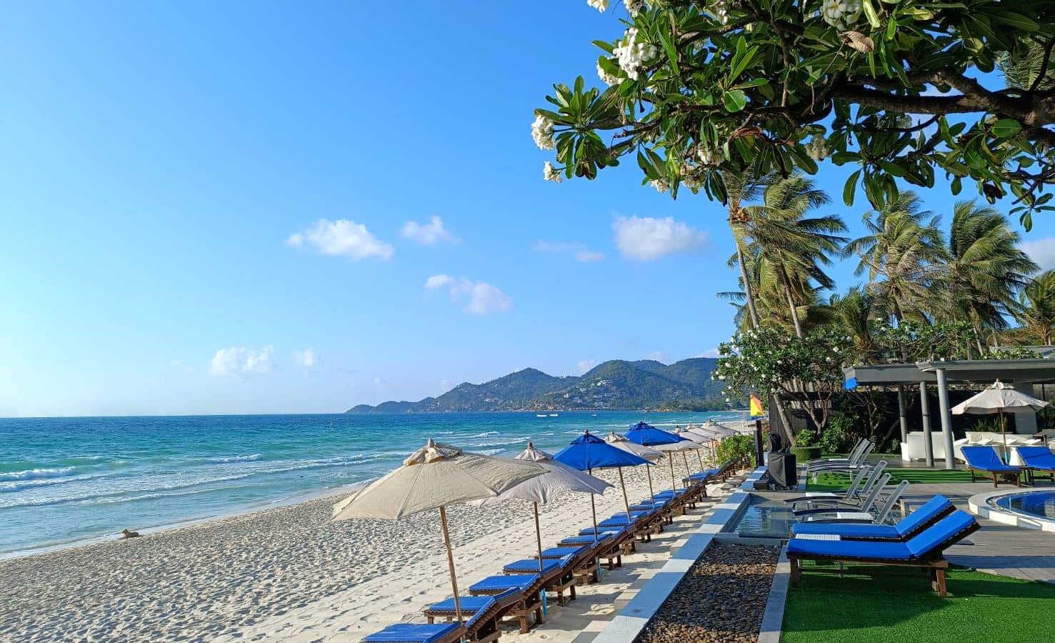 beach-beach