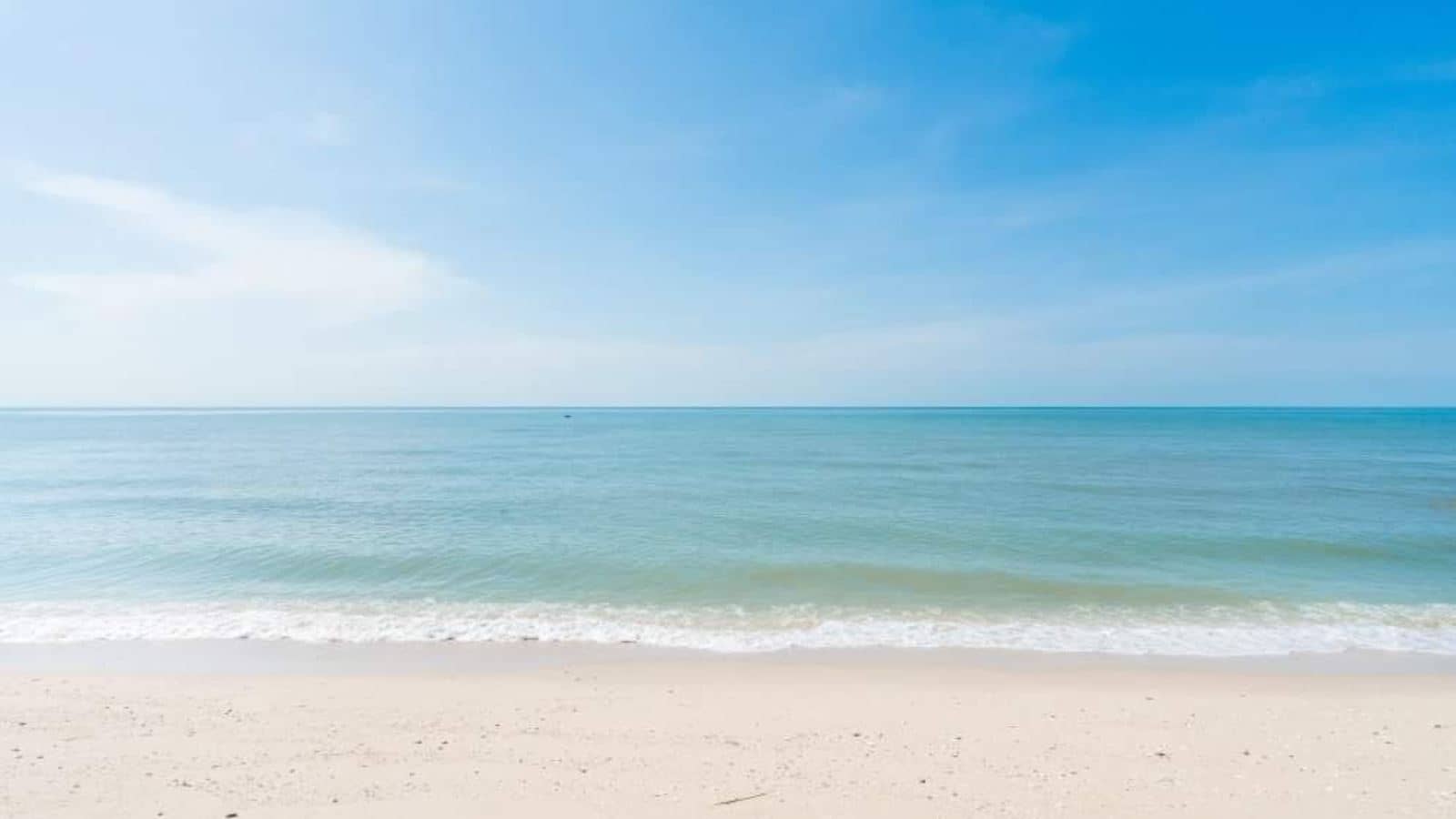 beach-beach