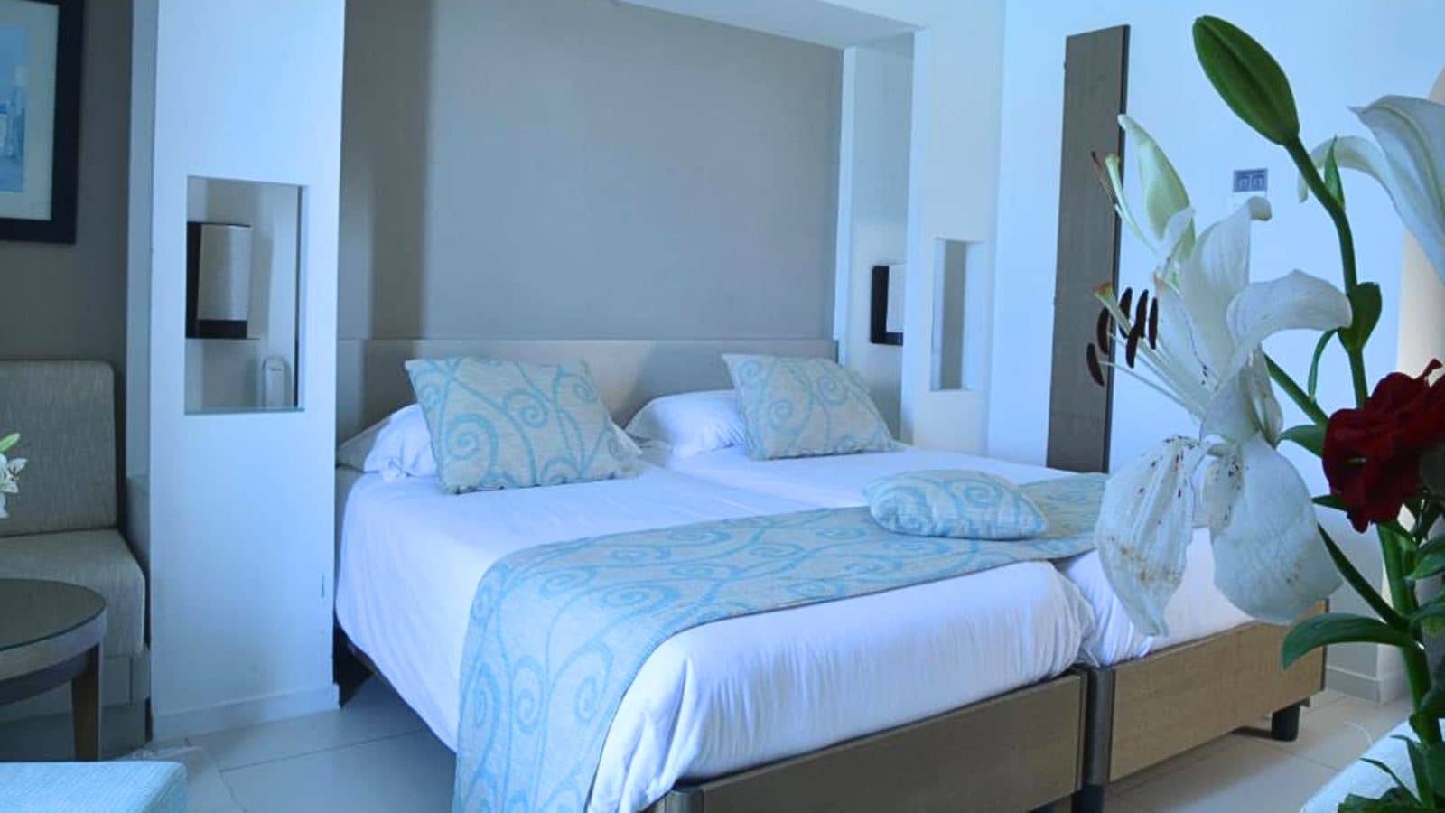 rooms-room-single-gardenview