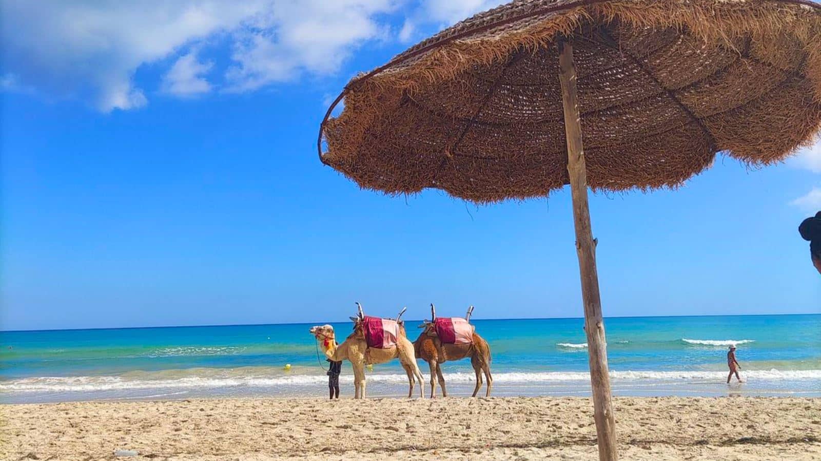 beach-beach