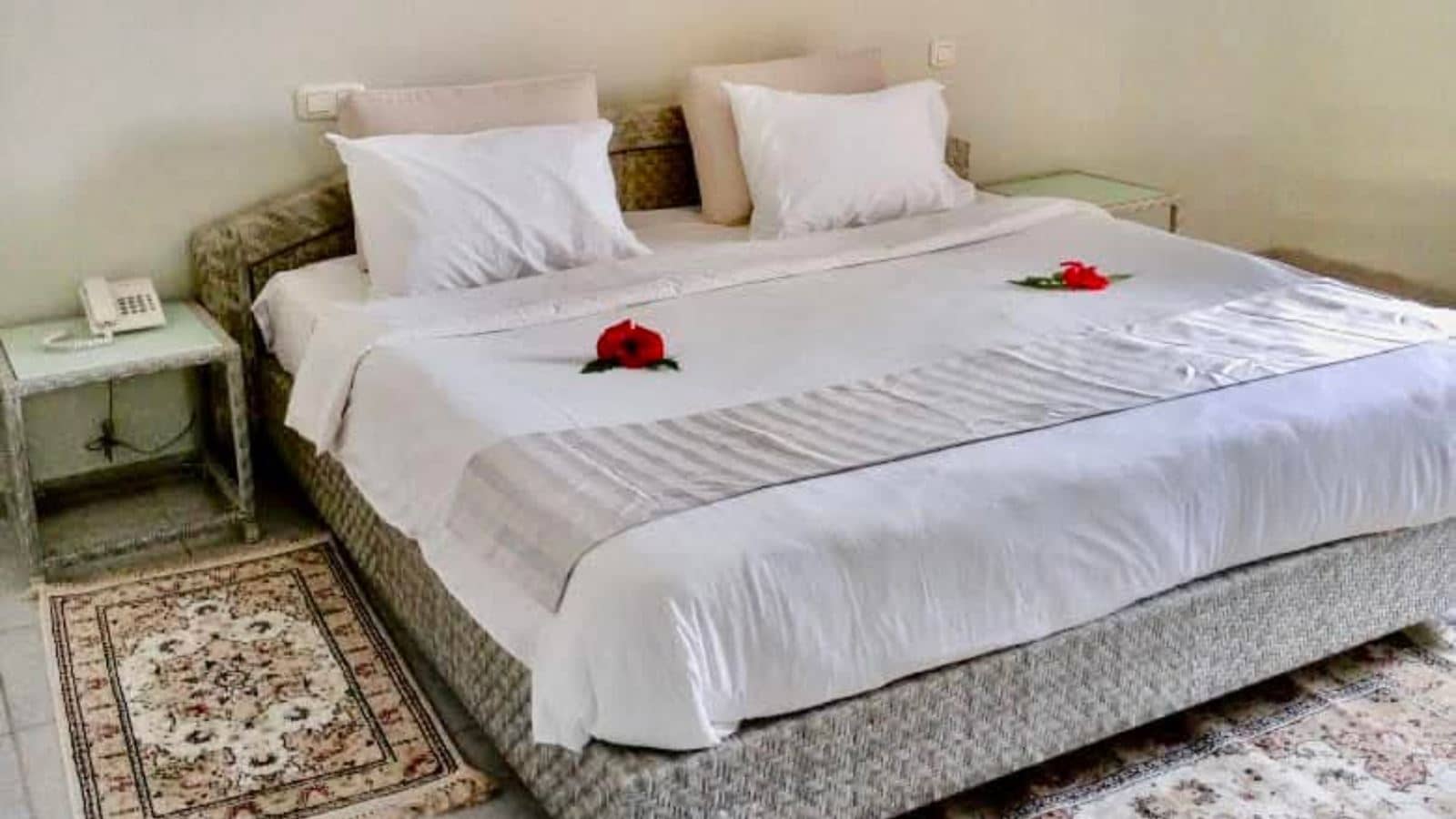 rooms-coral-room