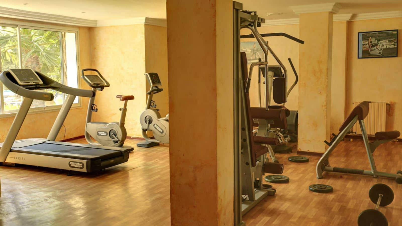 sport-sport