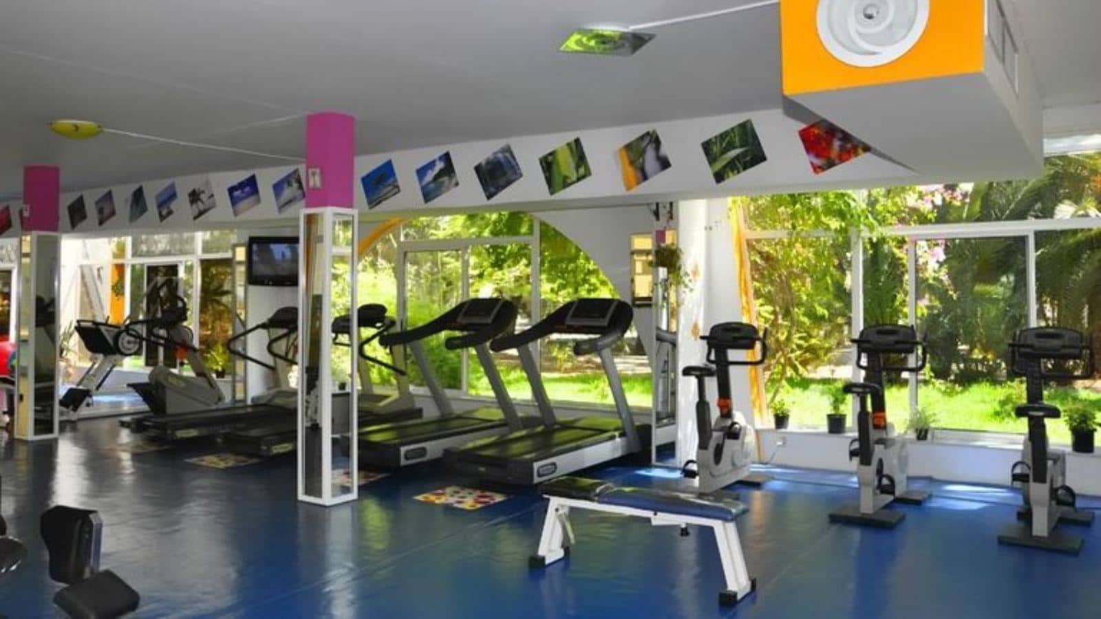 sport-sport
