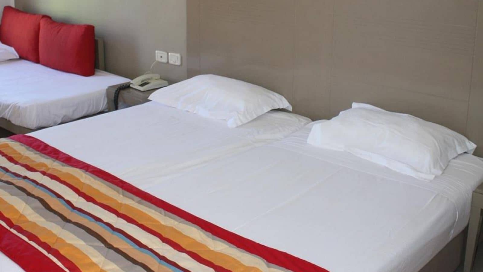 rooms-coral-room
