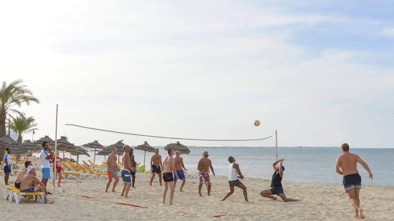 sport-sport