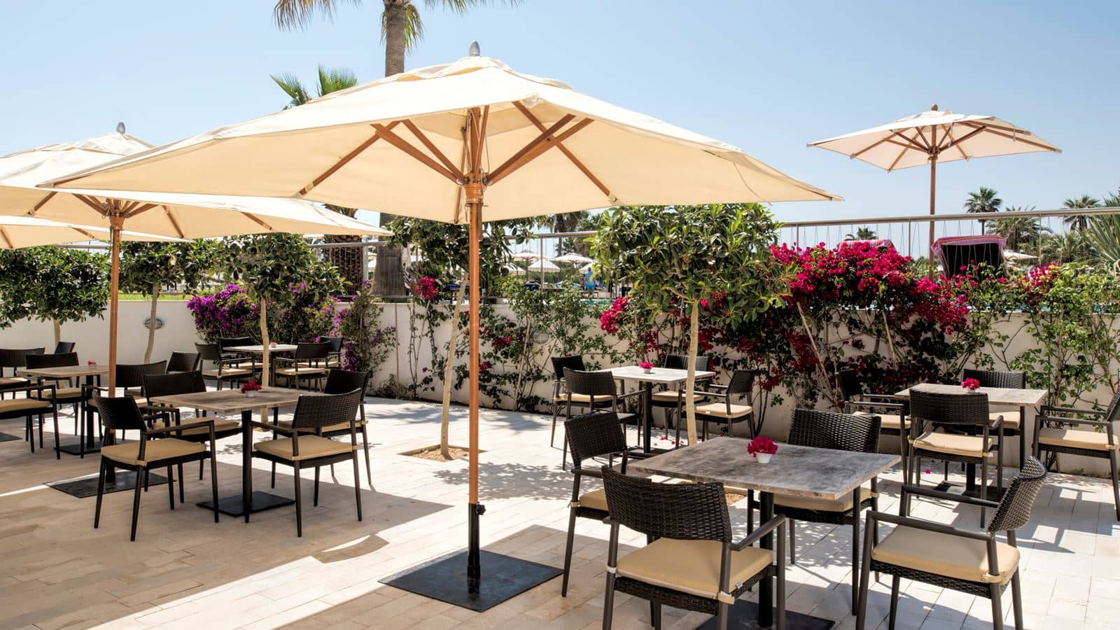 restaurants-le-rimel-snack-bar