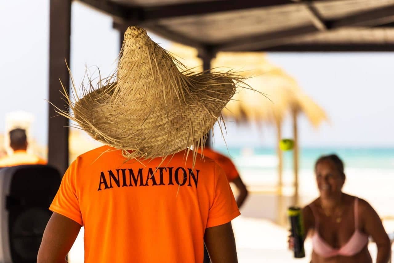 animation-animation