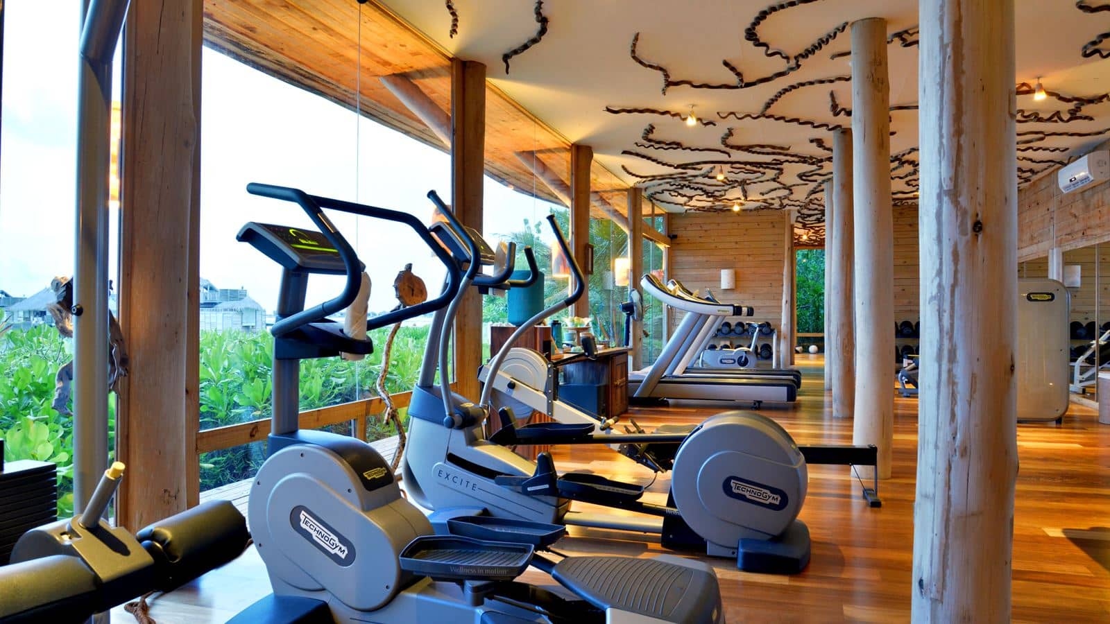 sport-sport