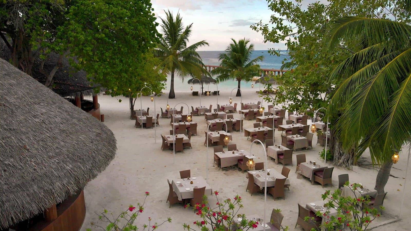 restaurants-main-restaurant