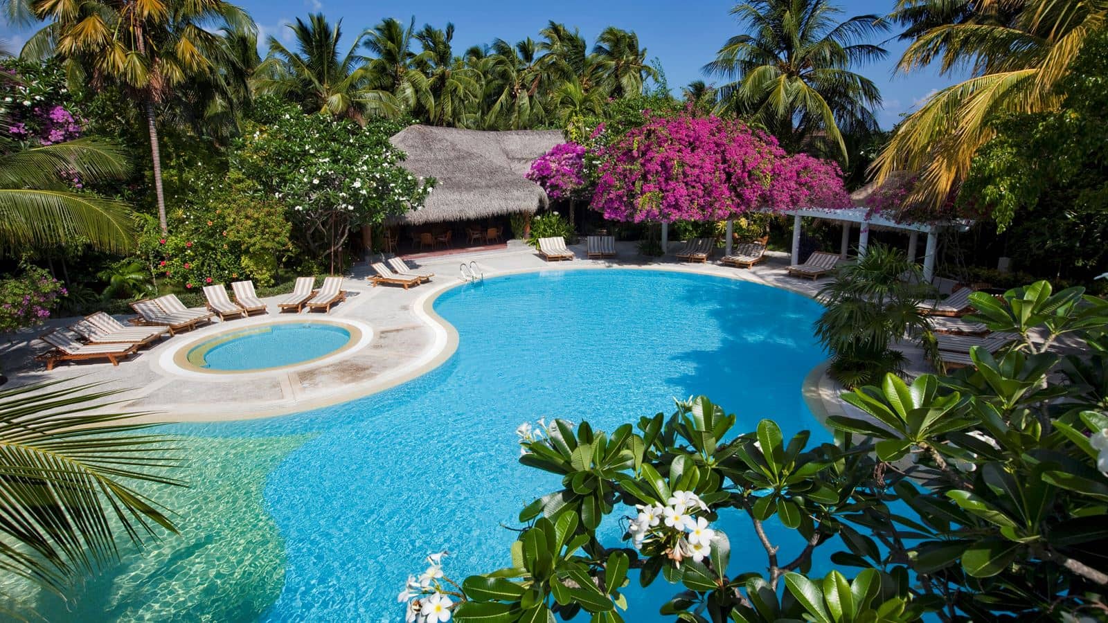 bars-pool-bar