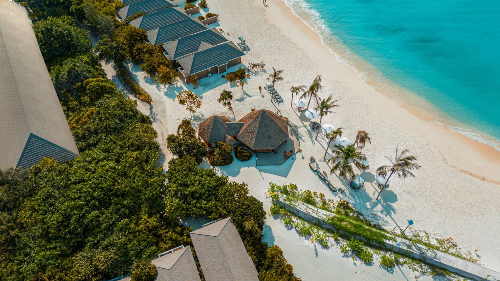 bars-beach-bar