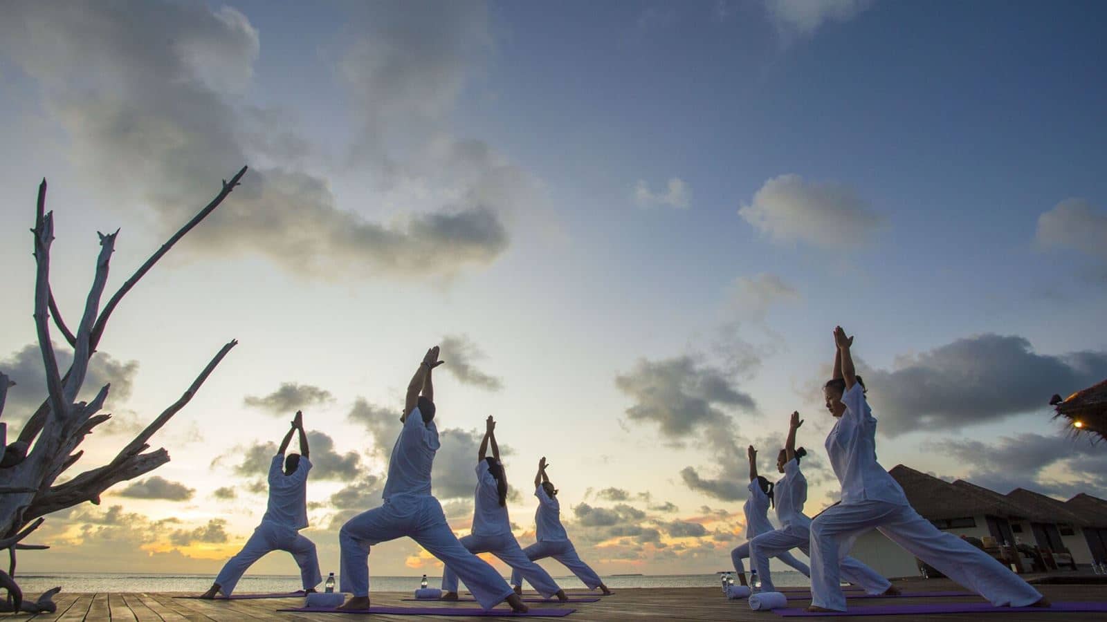 sport-sport
