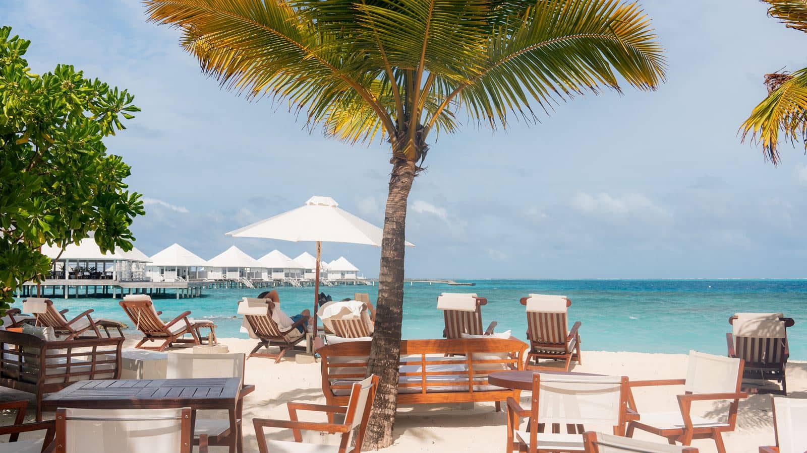 restaurants-thila