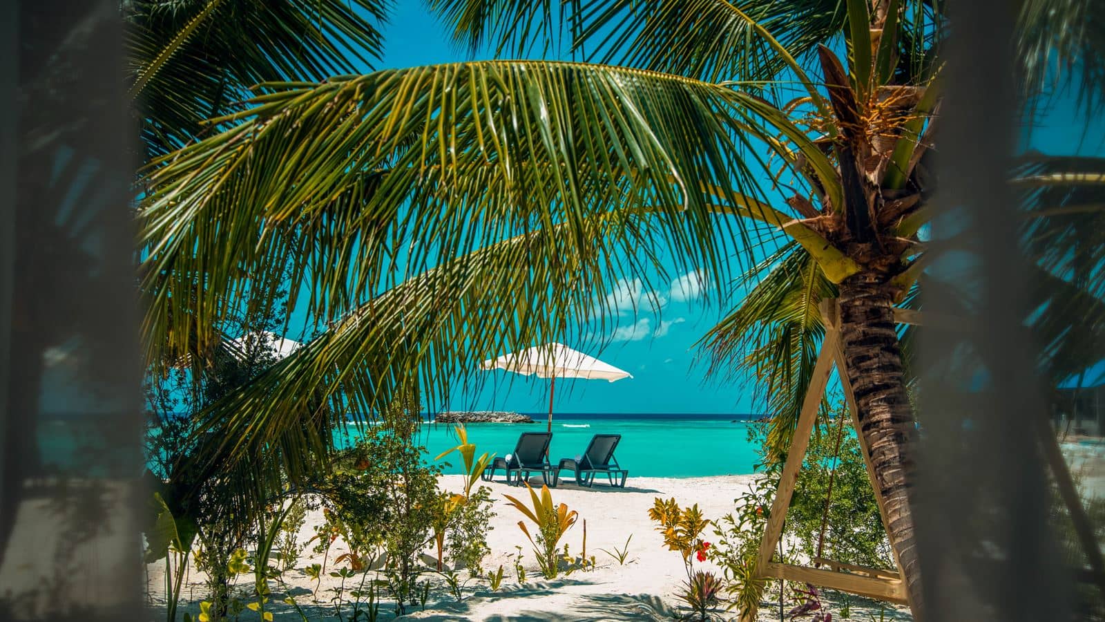 rooms-palm-villa