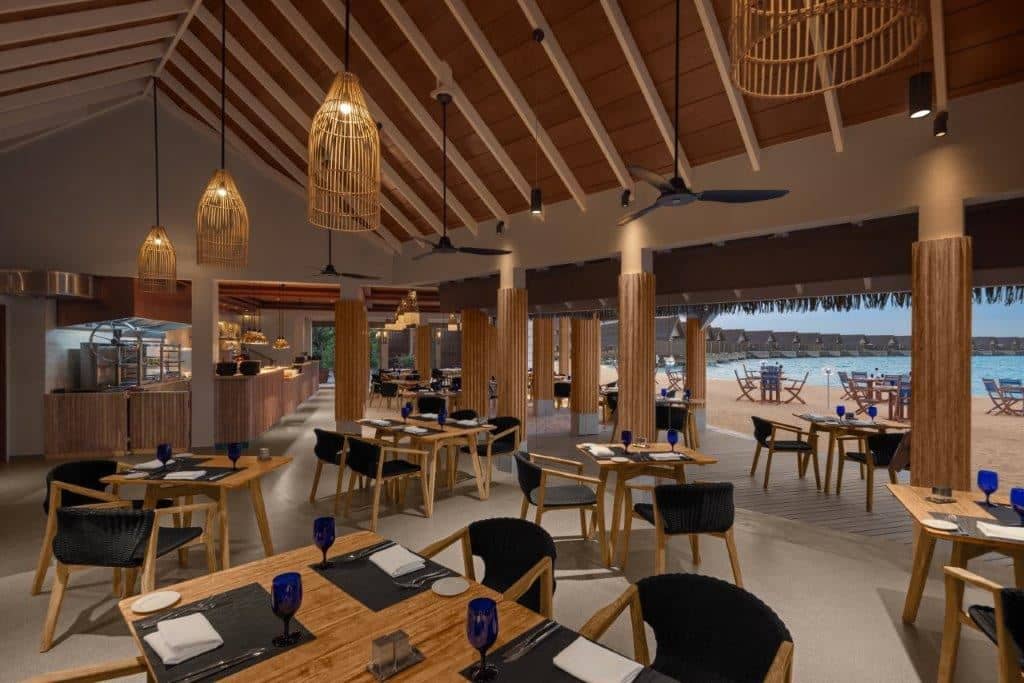 restaurants-carnivorous-restaurant