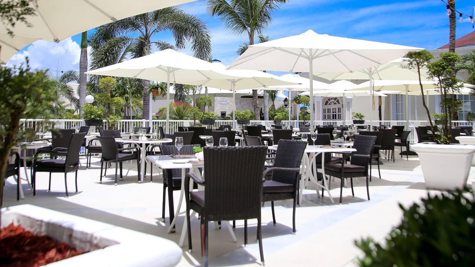 restaurants-main-restaurant-acuario