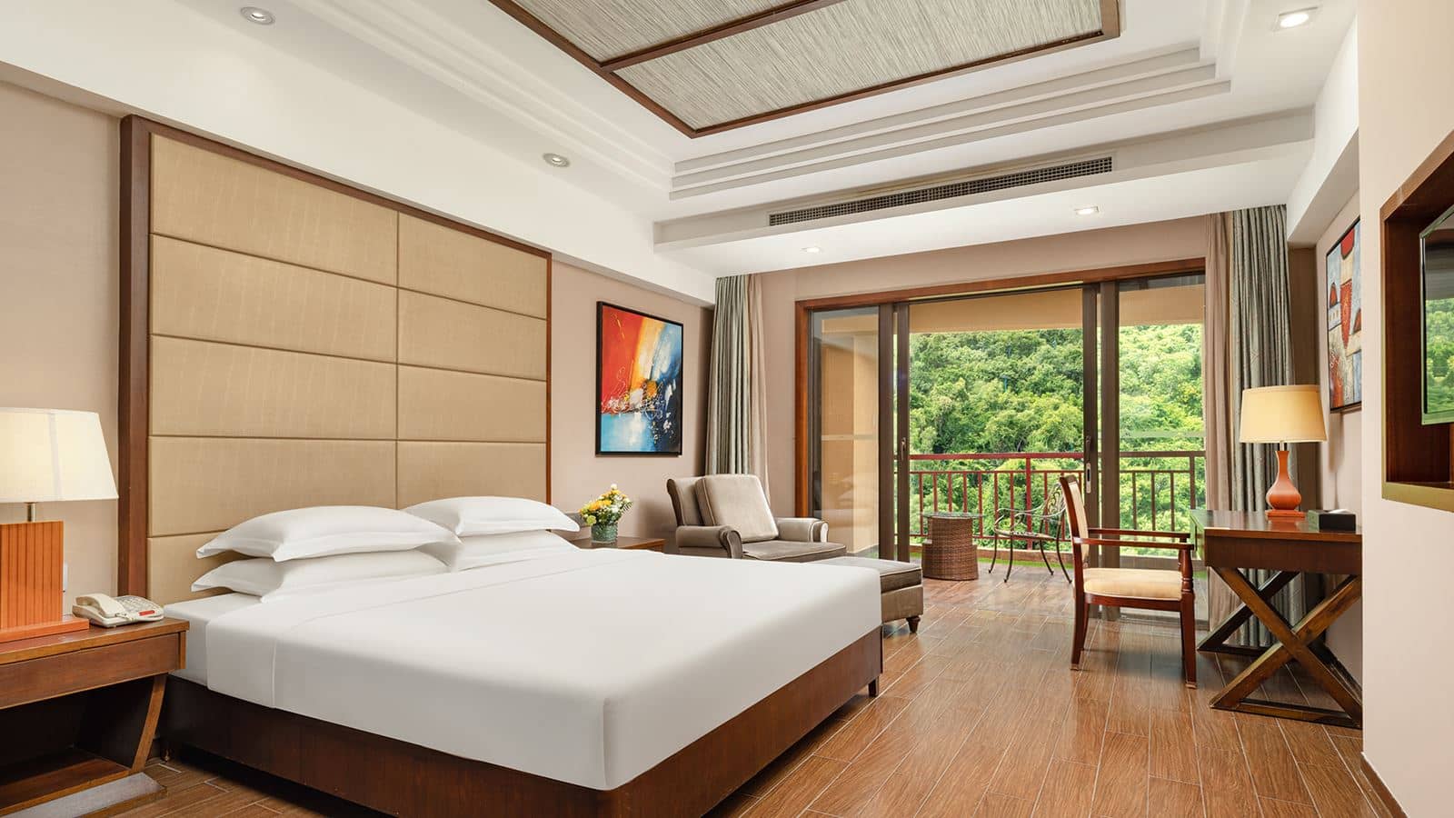 rooms-room-mountainview