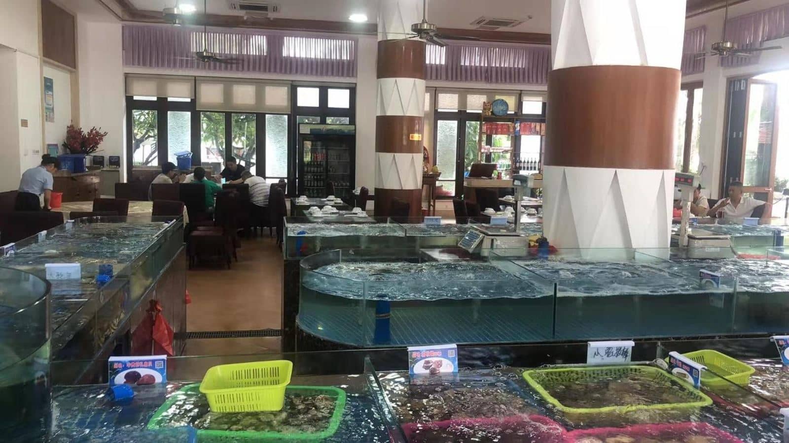 restaurants-main-restaurant