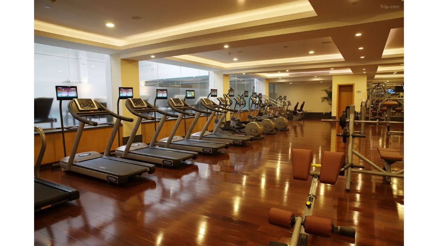 sport-sport