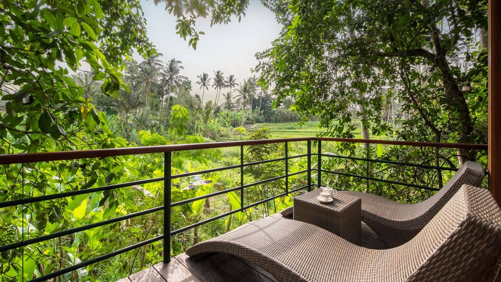 rooms-jungle-suite