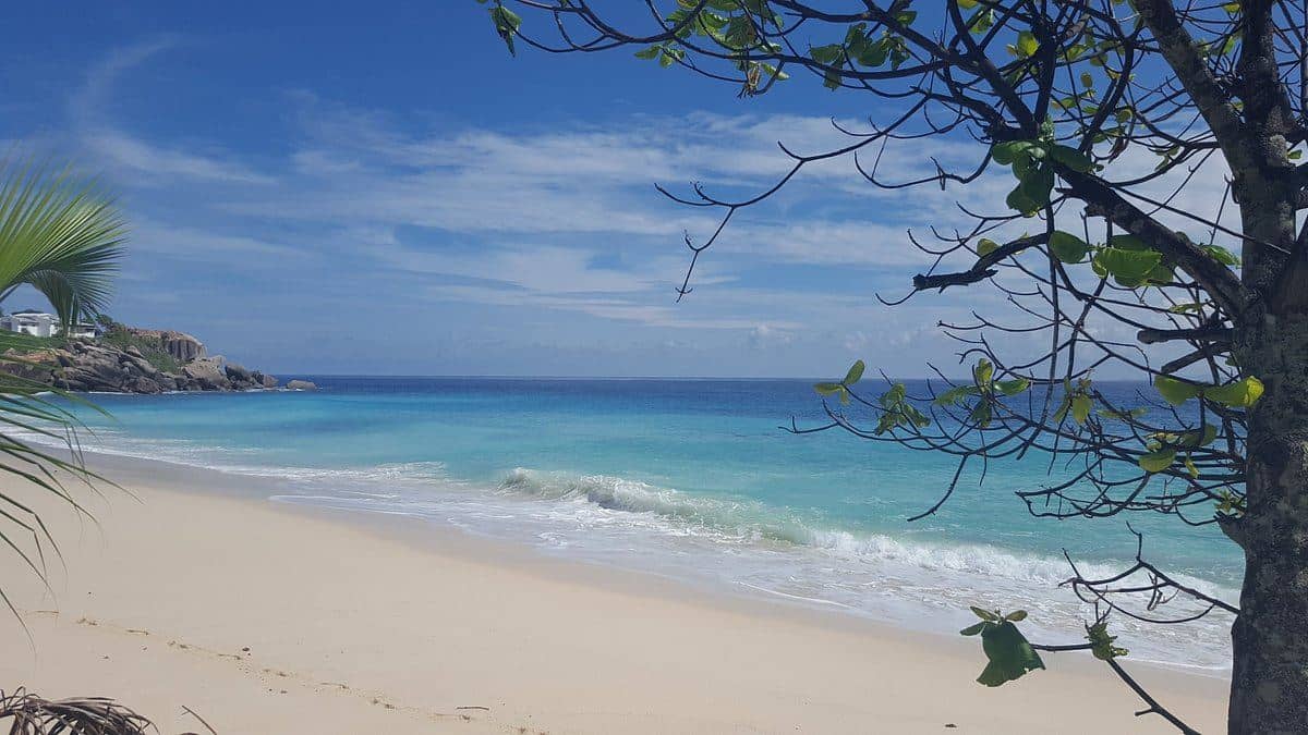 beach-beach